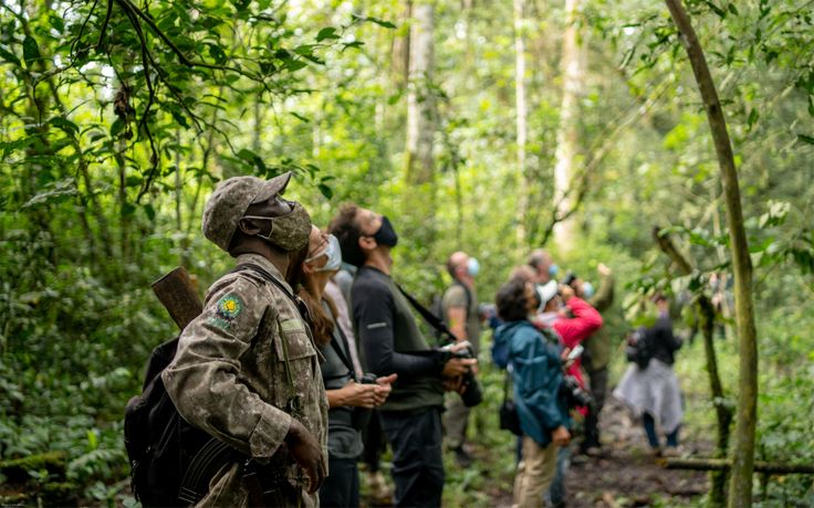 7 Days Uganda Highlights Safari – Murchison Falls wildlife tour by Crane Adventure Safaris