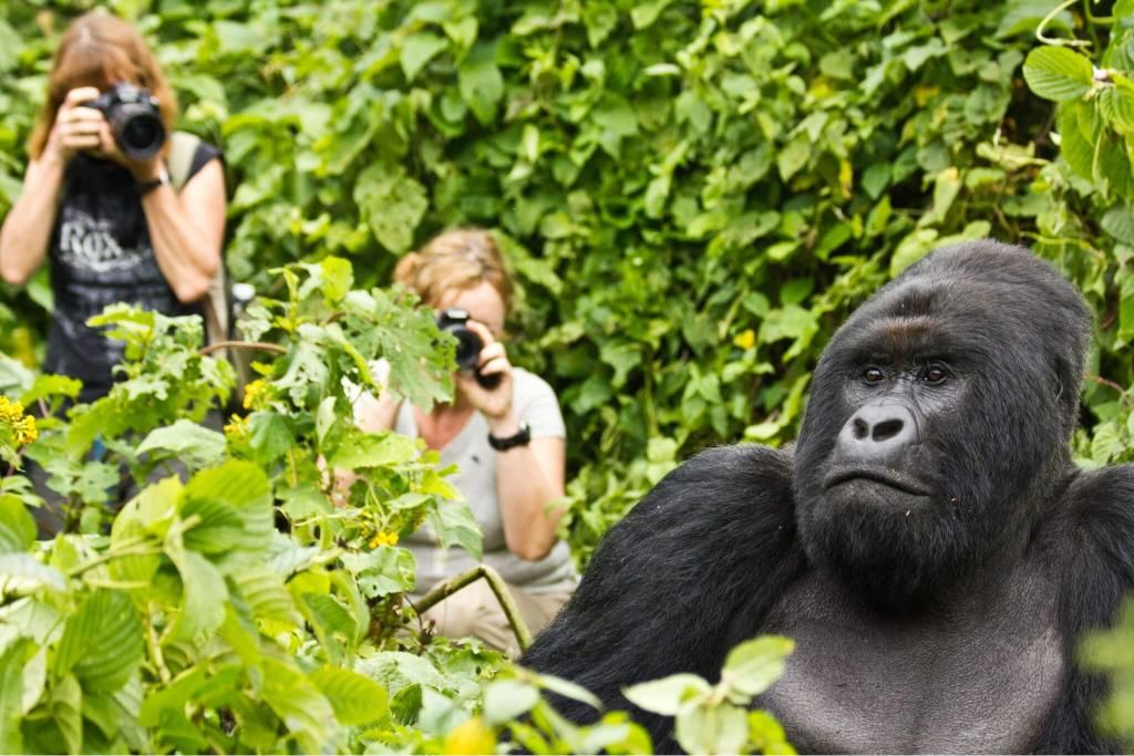 5 Days Gorilla & Lakes Escape – Bwindi gorilla trekking safari by Crane Adventure Safaris