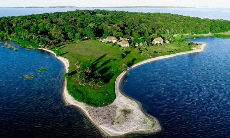 5 Days Island Escape – Ngamba Island Ssese Islands safari by Crane Adventure Safaris