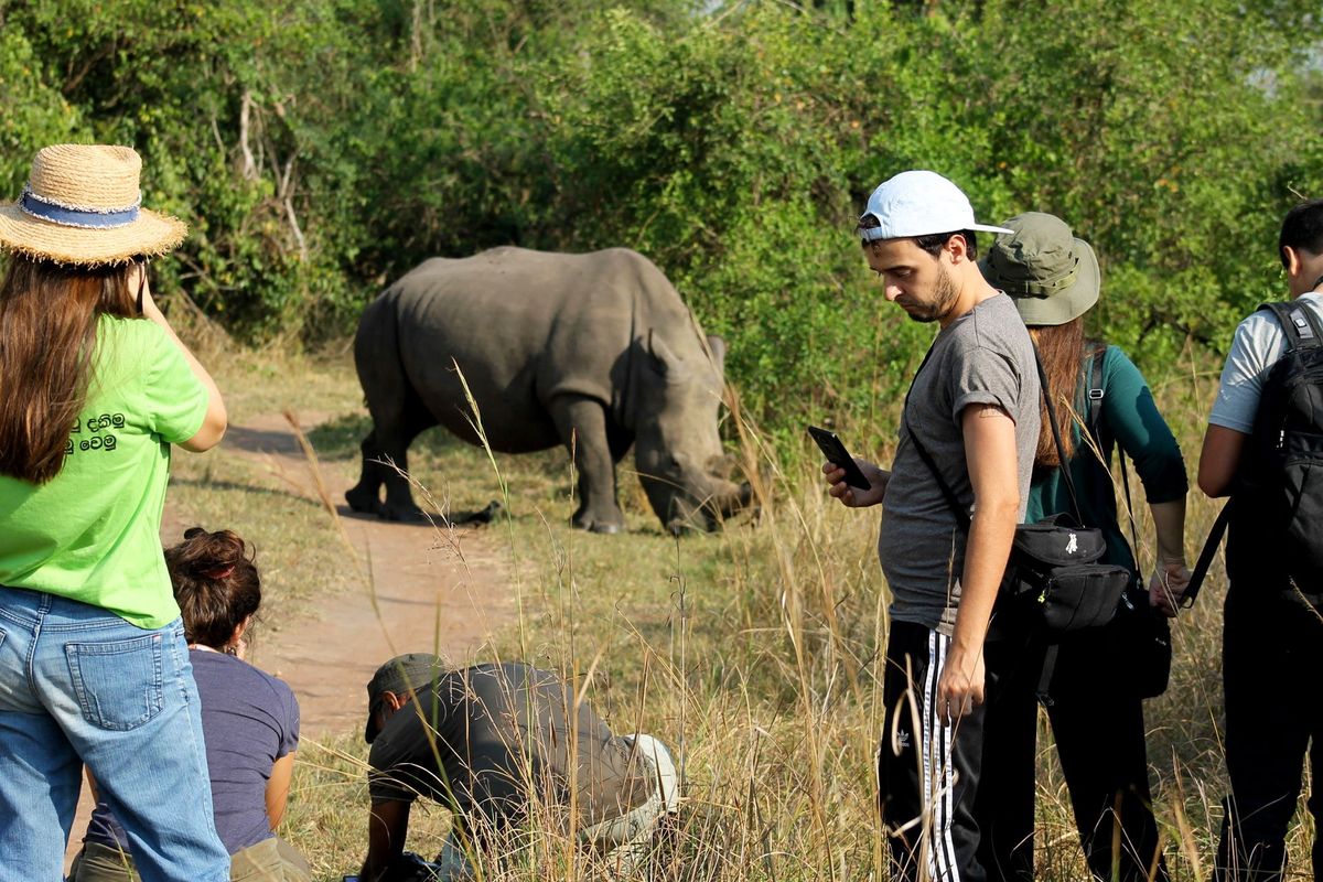 7 Days Wildlife Explorer – Ziwa Rhino Murchison Falls safari by Crane Adventure Safaris
