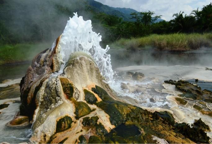 10 Days Uganda Nature Discovery – Semuliki Rwenzori Bunyonyi tour