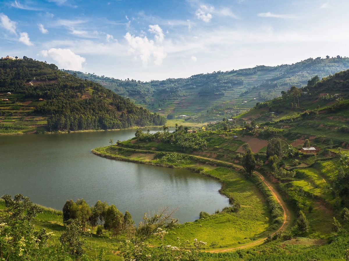 8 Days Rwenzori Adventure Journey – Mountains of the Moon trek
