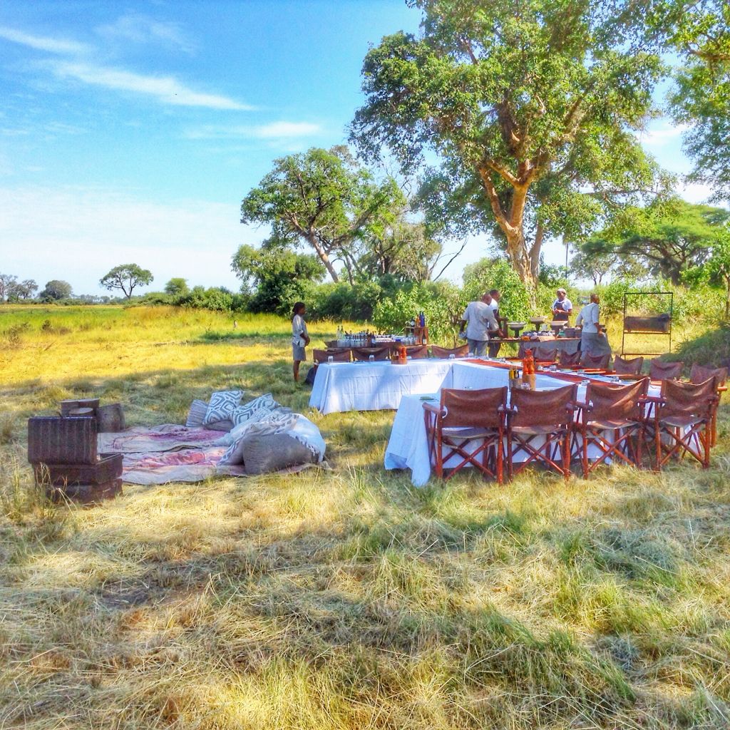 Luxury picnic & bush dining Uganda – gourmet safari experience by Crane Adventure Safaris