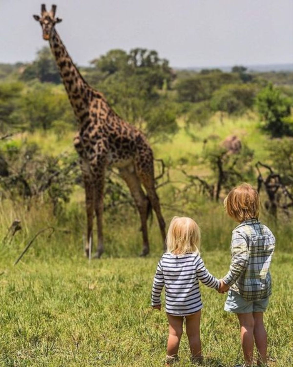Family safari Uganda – kid-friendly wildlife tour by Crane Adventure Safaris
